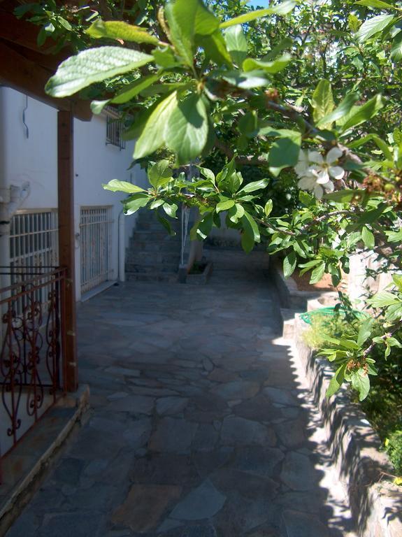 Athenian Spiti Artemida (Attica) Quarto foto